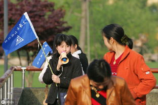 易學易做小項目之游山玩水做導游 如何輕松提供導游服務